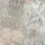 せあんのプロフィール画像