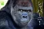 光太のプロフィール画像