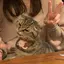 meのプロフィール画像