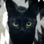 ティンカーベルのプロフィール画像