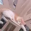 みのプロフィール画像