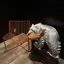 まのプロフィール画像