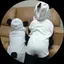 かかのプロフィール画像
