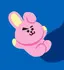 kookie のプロフィール画像