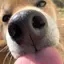 kana.のプロフィール画像