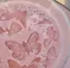 shiichanのプロフィール画像