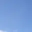 花のプロフィール画像