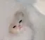 Rinoのプロフィール画像