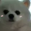 sosanのプロフィール画像