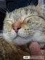 てぃあらのプロフィール画像