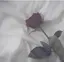 姫のプロフィール画像