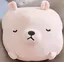ruciaのプロフィール画像
