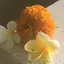 鯖の味噌煮のプロフィール画像