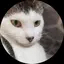 Mimuraのプロフィール画像