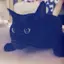 なふぃのプロフィール画像