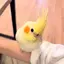 なーのプロフィール画像