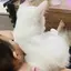 みこのプロフィール画像