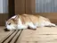 nahoのプロフィール画像