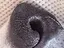 ひとみのプロフィール画像