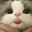 ぱのプロフィール画像