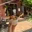 kanaのプロフィール画像