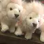 みなみのプロフィール画像