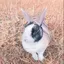 よっちーのプロフィール画像
