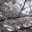 mのプロフィール画像