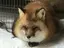 ぬぅのプロフィール画像