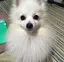 さなえのプロフィール画像