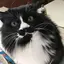 ジワのプロフィール画像