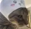 あいらのプロフィール画像