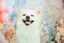 きのこのプロフィール画像