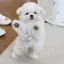 Rのプロフィール画像