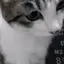 裕のプロフィール画像