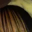 あすこのプロフィール画像