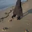 のばなつのプロフィール画像