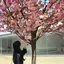 みのプロフィール画像