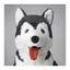 yのプロフィール画像