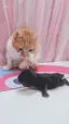 あきのプロフィール画像