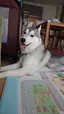 かおりのプロフィール画像