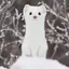 かなみのプロフィール画像