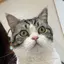 じゅんのプロフィール画像