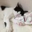 ふくふくのプロフィール画像