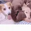 ゆうきのプロフィール画像