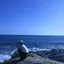 ののかのプロフィール画像