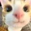 sのプロフィール画像