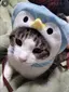 AOのプロフィール画像