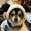 めぐみのプロフィール画像