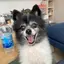 昭雄のプロフィール画像